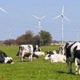 Cuidado de los animales y del medio ambiente