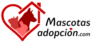 Mascotas en adopción