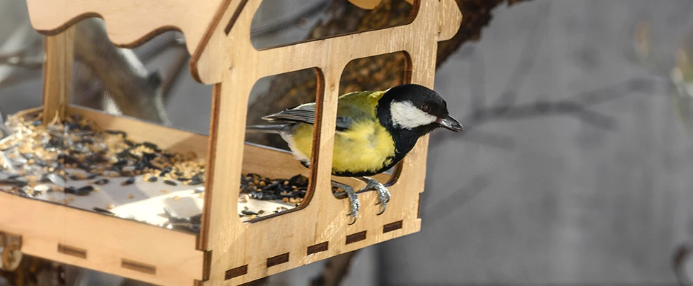 Productos para aves