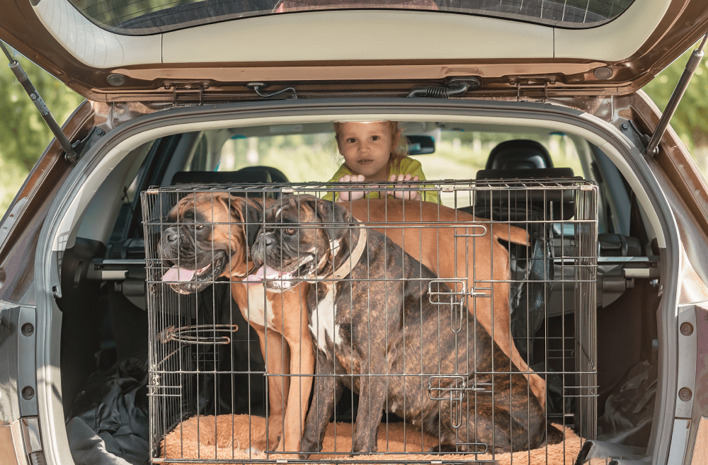 Transportín para perro